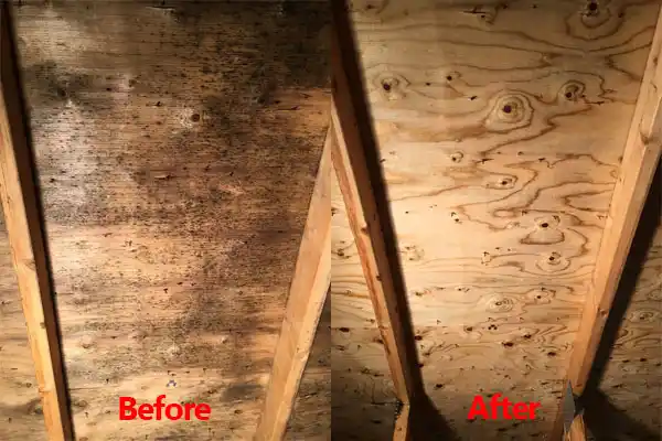 water damage restoration service Negaunee